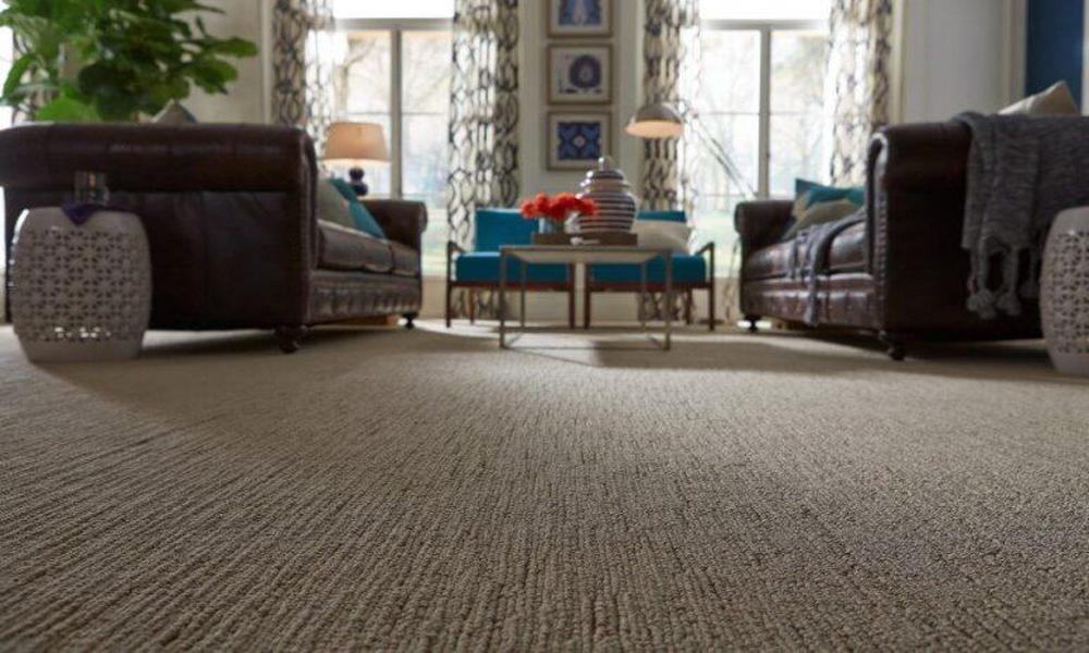 Are Wall-to-Wall Carpets the Ultimate Fusion of Comfort and Elegance?