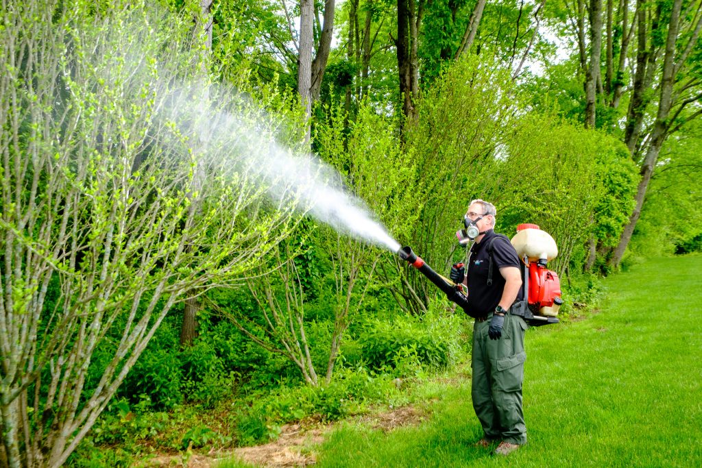 Effective Pest Control Services in Lowell, MA: Your Comprehensive Guide