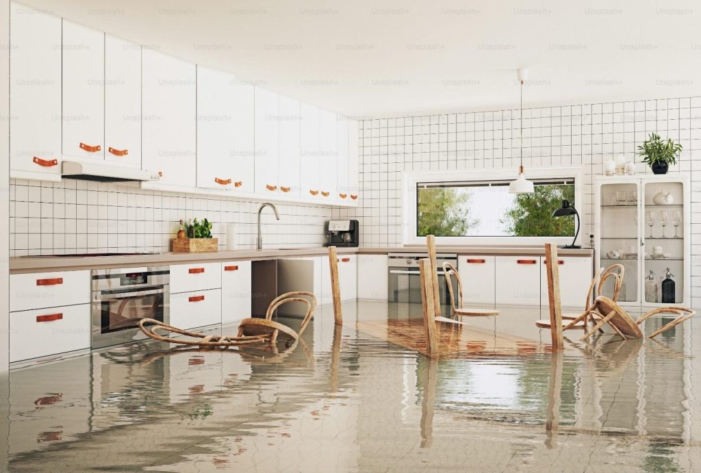 Key Factors to Consider When Choosing a Water Damage Restoration Company